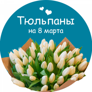 Купить тюльпаны в Магадане